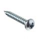Cast Iron Universal Gutter Fixing Screw - 30mm