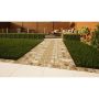 Clay Paving - 210mm x 100mm x 50mm London Mixture