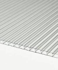 PolyX Polycarbonate Sheet Twinwall - 10mm x 800mm x 2mtr Clear