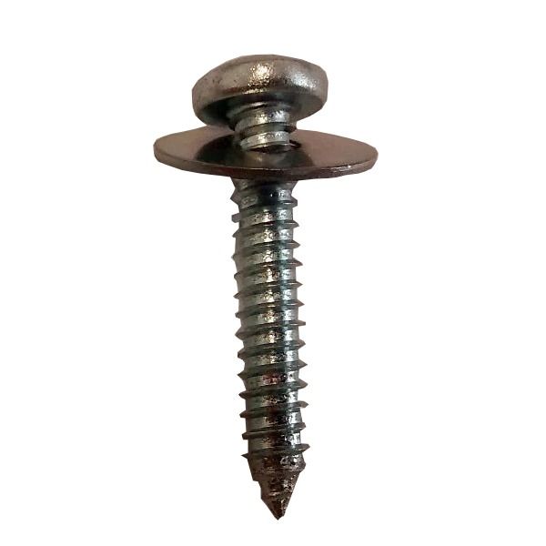 Cast Iron Universal Gutter Fixing Screw 30mm
