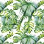 Acrylic Wall Panel - 896mm x 2400mm x 4mm Botanical