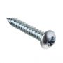 Cast Iron Universal Gutter Fixing Screw - 30mm