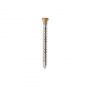 Composite Decking/Cladding Colour Coded Screw - 40mm Natural Oak - Pack of 50