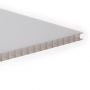 PolyX Polycarbonate Sheet Twinwall - 10mm x 1500mm x 3mtr Opal