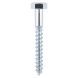 6mm x 20mm - Coach Screw Hexagon DIN 571 - BZP - Pack of 100